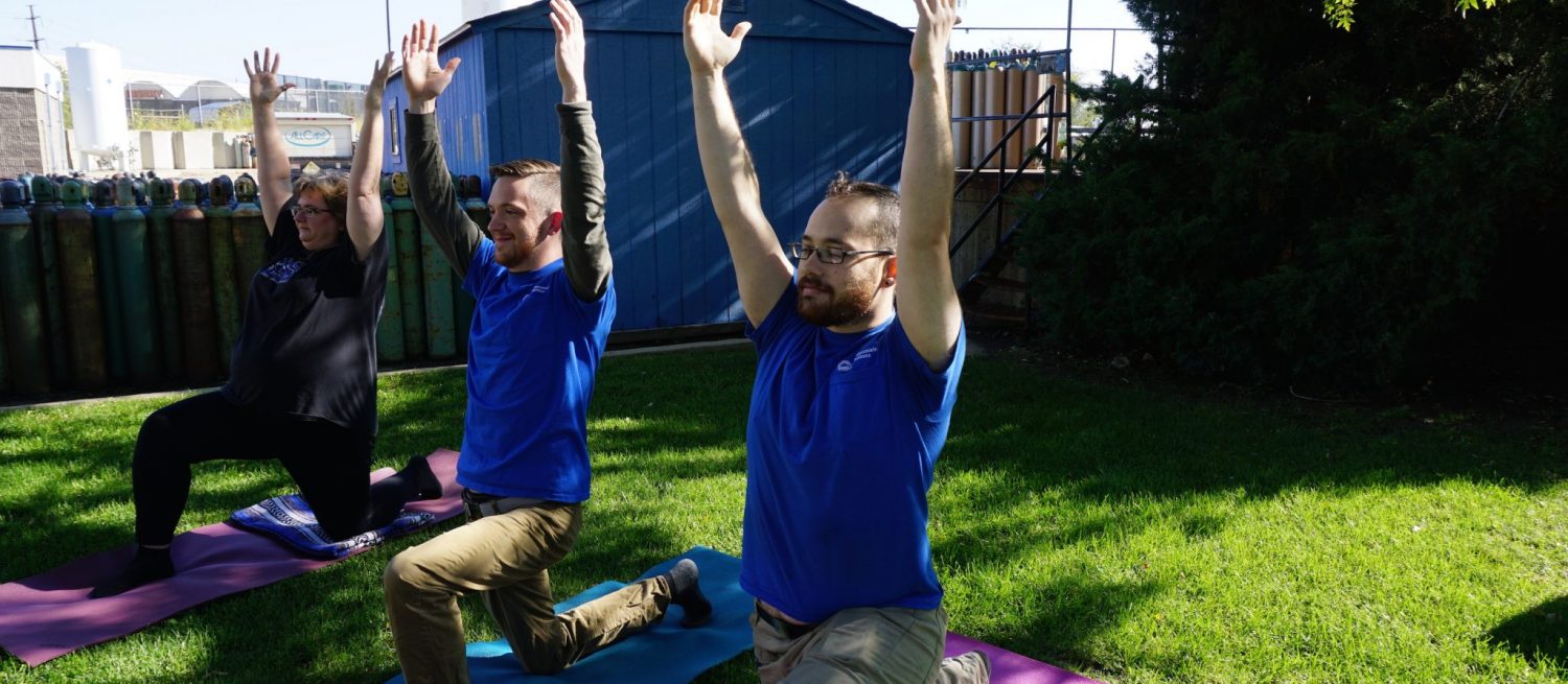 Image for Why Yoga?